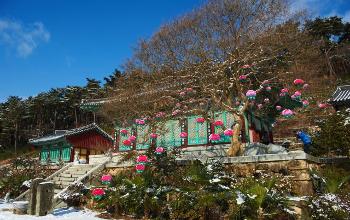 만연산 치유의숲