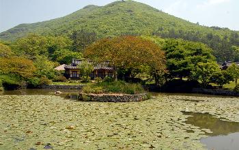 운림산방