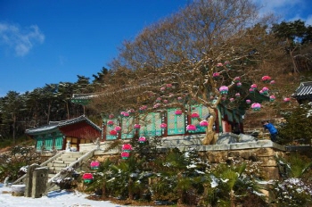 만연산 치유의숲