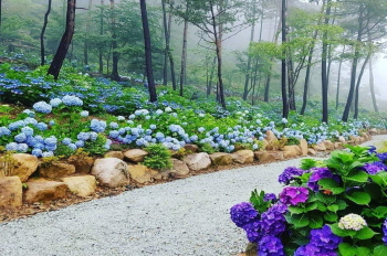 포레스트 수목원