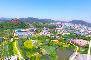 함평 국화&나비축제