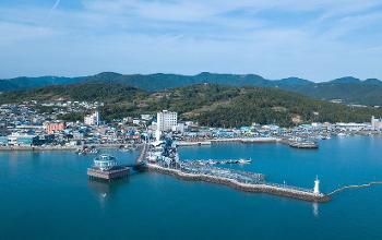 마량미항